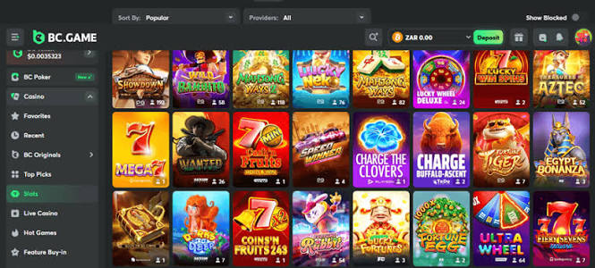 Exploring the BC.Game Platform A Comprehensive Overview