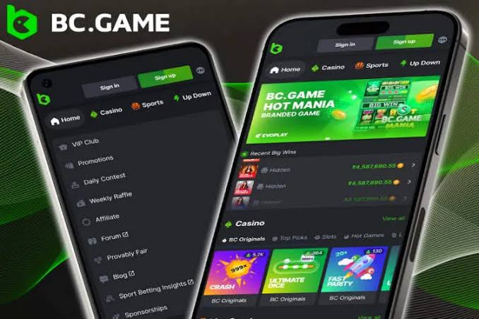 Exploring the BC.Game Platform A Comprehensive Overview